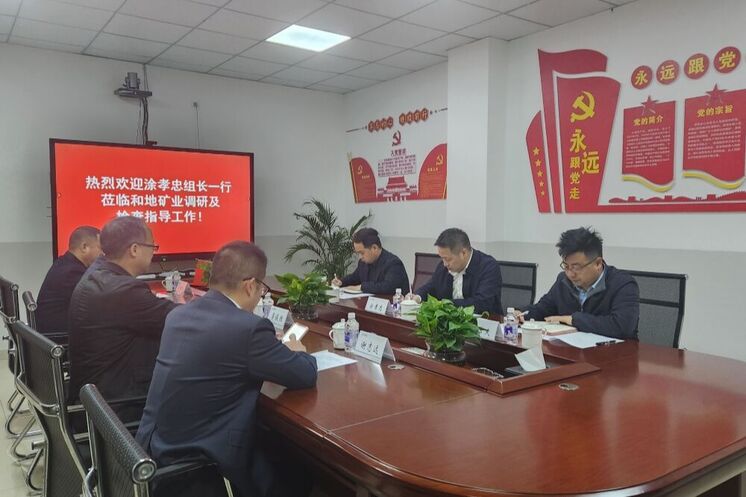 强化党建引领 深化制度建设 推动高质量生长——省自然J9集团投资集团向导赴和地矿业开展专题调研