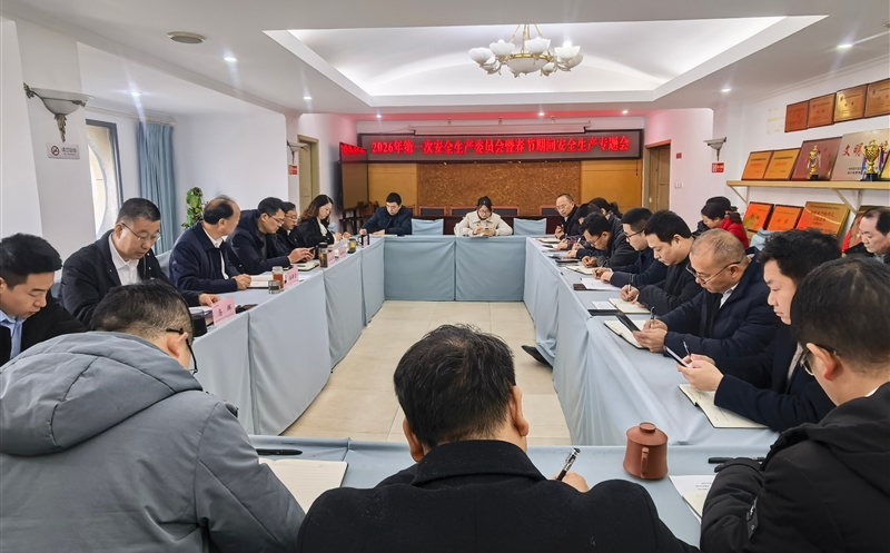 严守清静防线，，，，平安喜迎新年——测绘公司召开2026年第一次安委会暨春节时代清静生产专题会