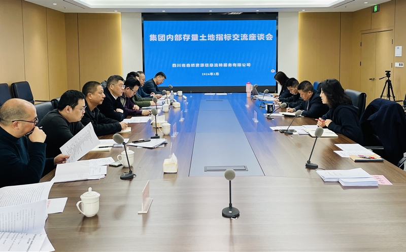 锚定战略协同，，，激活存量价值——流转服务公司召开集团内部存量土地指标交流座谈会