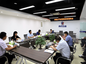 中共四川省冶勘物流有限公司支部委员会 召开周全从严治党催促检查现场会_协同多元工业_工业生长_J9集团有限责任公司