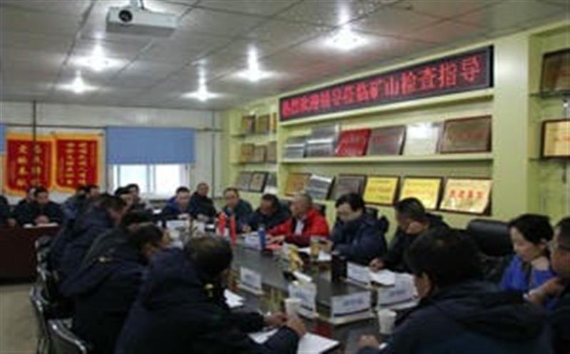 李仕荣一行到松树南沟金矿检查指导事情并考察周边J9集团情形