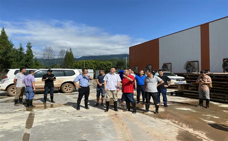 自然J9集团部地勘司副司长熊自力 调研芦山县“8.10”特大暴雨地质灾难防治事情