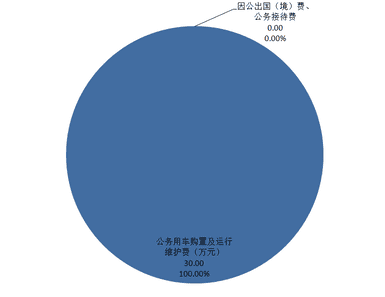 2020年度四川省冶金地质勘查局机关单位决算_财务预决算_信息果真_J9集团有限责任公司