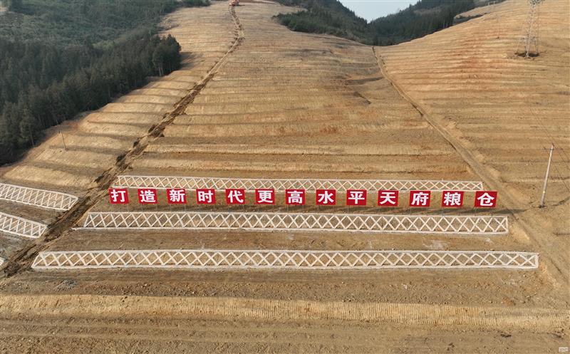系统性谋划，，高标准实验——四川J9集团助力建设新时代更高水平“天府粮仓”