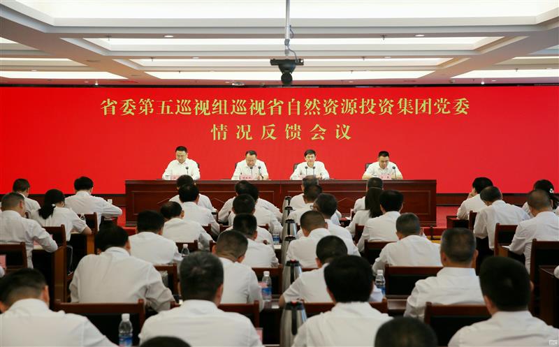 中共四川省委第五巡视组向省自然J9集团投资集团党委反馈巡视情形
