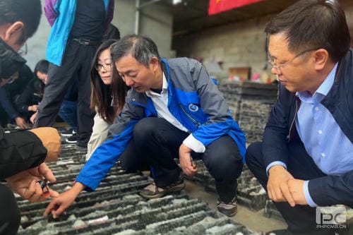 喜讯！地矿集团肩负的攀西槽上—营盘山有数稀土找矿靶区查证工程项目野外验收喜获优异_下层动态_新闻中心_J9集团有限责任公司
