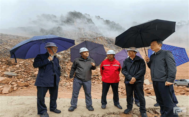 省自然J9集团厅到大熊猫国家公园历史遗留废弃矿山生态修复树模工程项目（荥经县）调研指导