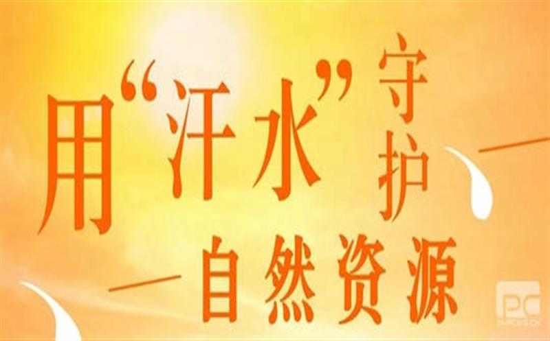 直面“烤”验 J9集团有我（一）