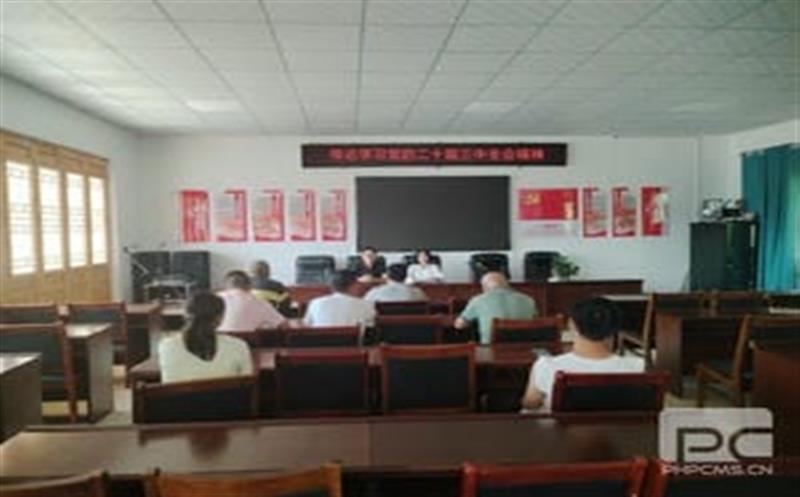 学习党的二十届三中全会精神，，，，，，华锋钻探助力墟落振兴新征程